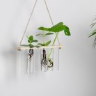 6-os növény gyökereztető üveg váza fa állvánnyal, 33,5 x 20 cm