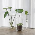 Dekorációs üveg búra, alappal, 12,8 cm átmérőjű