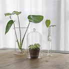 Dekorációs üveg búra, alappal, 12,8 cm átmérőjű