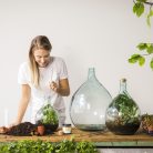 Csináld magad florárium szett, 15 literes