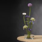 Dekorációs üvegtál, Ikebana japán virágrendező tál, S