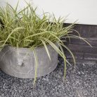 Rusztikus fém, oroszlán mintás virágtartó, félkör alakú, 49 cm