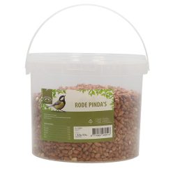 Vörös mogyoró madáreleség vödörben, 2,5 kg