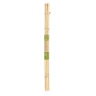 Bambusz növénytámasz pálca, 20 db-os, 50 cm