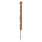 Kókuszrost növénytámasz, 75 cm