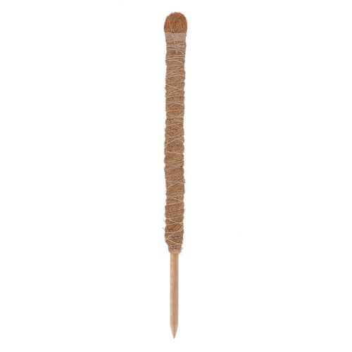 Kókuszrost növénytámasz, 75 cm