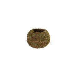 Kokedáma japán mohagömb, virágtartó, 9 cm
