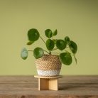 Bambuszfából készült virágtartóállvány, 18 cm