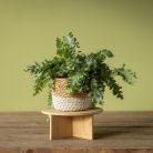 Bambuszfából készült virágtartóállvány, 25 cm