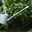 Cink locsolókanna hosszabbítható és levehető öntöző fejjel, 6,2 literes
