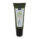 Aloe verás ajakápoló balzsam, 15 ml