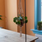 Asztalra szerelhető dekorációs virágakasztó, 112 cm