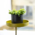 Felszerelhető lebegő dekoratív fém tálca, aranysárga, 14 cm átmérőjű
