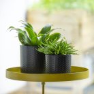 Felszerelhető lebegő dekoratív fém tálca, aranysárga, 24 cm átmérőjű