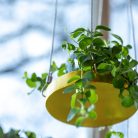 Függő dekoratív fém tálca, aranysárga, 14 cm átmérőjű