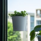 Ablakra rögzíthető virágtartó, fehér, 10 cm